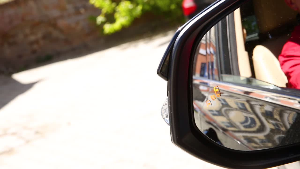 자동차 거울과 맹점 탐지 장치