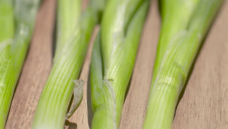 close up pan of a bunch of fresh, green onions resting on a wood cutting board in the sunlight