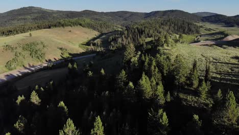 drone comes over a forest covered hill with long shadows