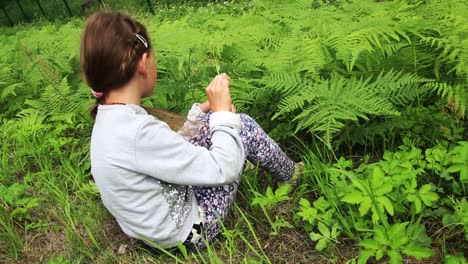 a little girl sits in the ferns