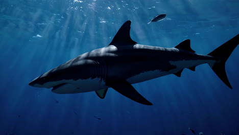 majestic great white shark in its ocean habitat