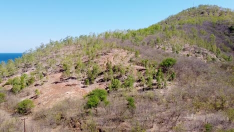 Rising-aerial-landscape-view-over-dry,-arid-hill-terrain-with-sparse-greenery,-trees-and-plants-in-Southeast-Asia-destination