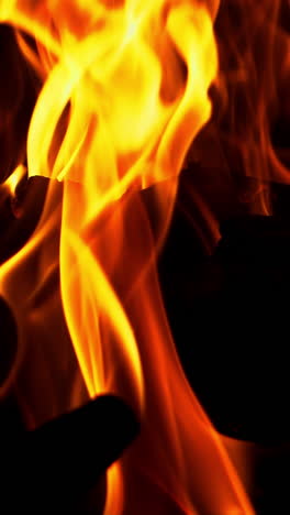 bonfire. the fire is lit in the night. slow motion vertical video