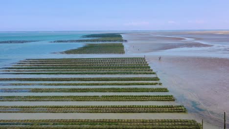 aerial over french mussel farm at utah beach normandy france