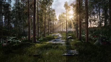 beautiful forest with trees in the morning sunlight