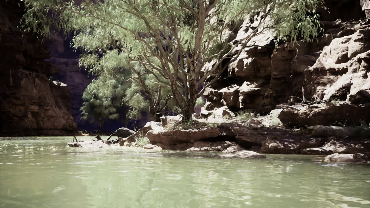 Natural landscape in rocky canyon with tranquil river and lush greenery