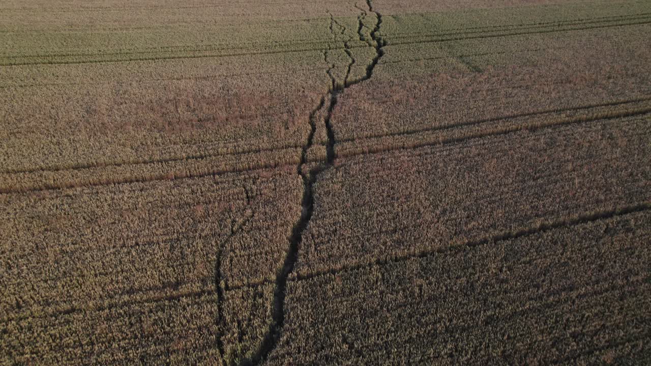 체코 공화국의 여름에 들판의 포장된 길 위의 비행