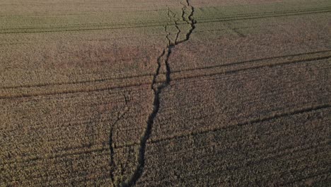 A-flight-over-a-paved-path-in-a-field-in-the-summer-in-the-Czech-Republic