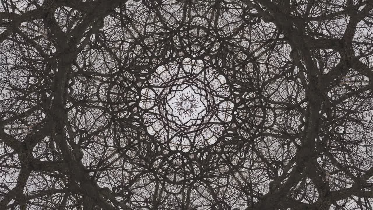 árboles en simetría - en bucle