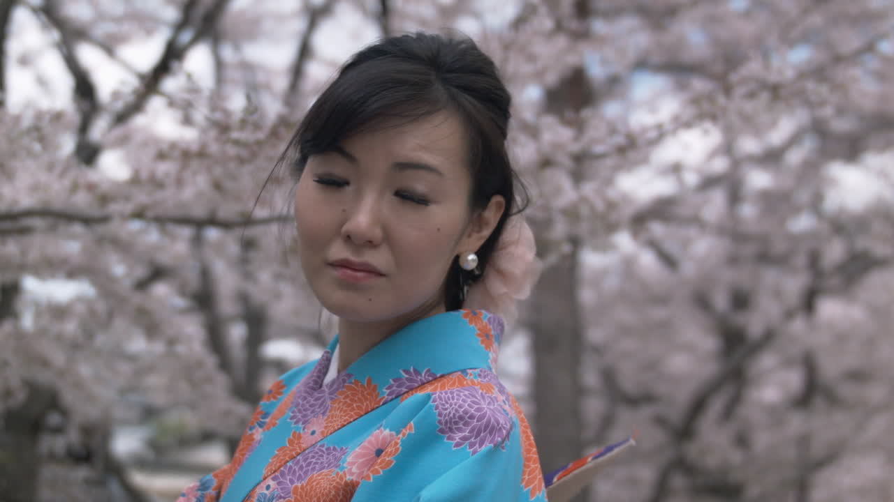 Elegant Japanese woman in Beautiful blue kimono under spring cherry blossom trees (50p)