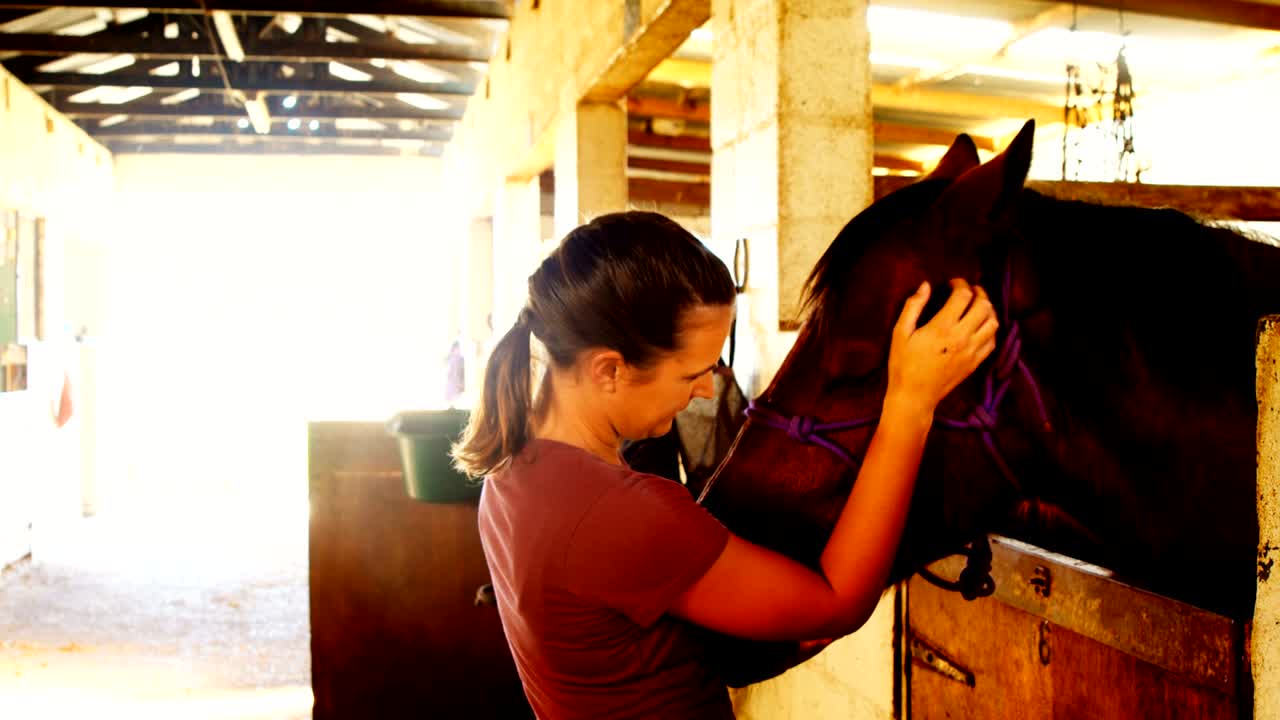 mujer acariciando el caballo marrón en el rancho 4k