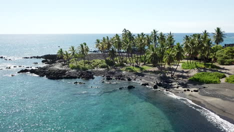 palm trees on black sand beach on big island hawaii with crystal blue water