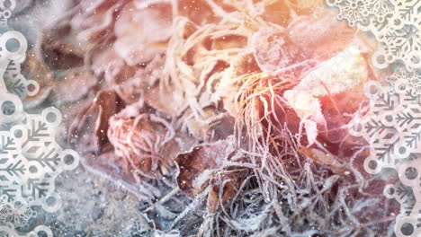 digital animation of snowflakes against snow falling over dried leaves and roots on ground