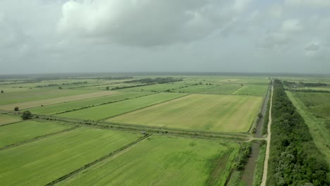 Agriculture-farmland-in-South-America,-jungle-deforestation-impact,-aerial-view