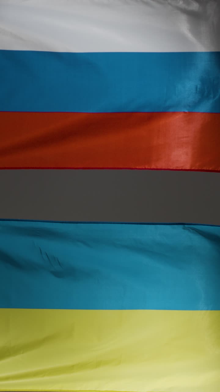 우크라이나와 러시아 발의 수직 추적