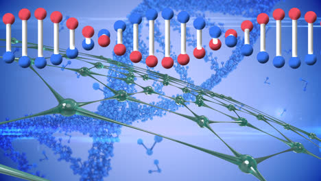 animation of dna strands and rows of green networks