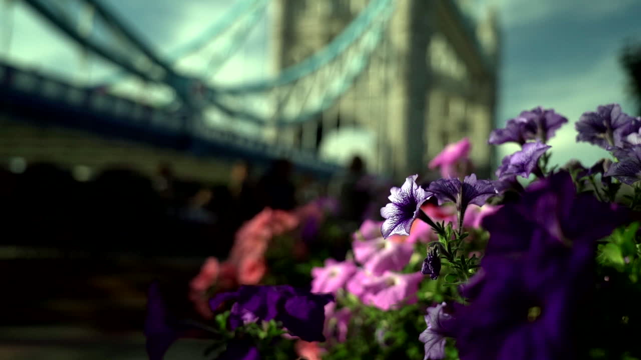 flores de colores moviéndose en el viento con el puente de la torre de londres en un fondo borroso