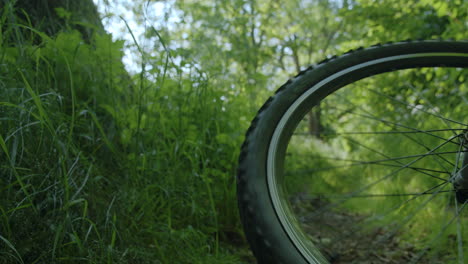 bike wheel spokes spinning to a stop on forest path. close up
