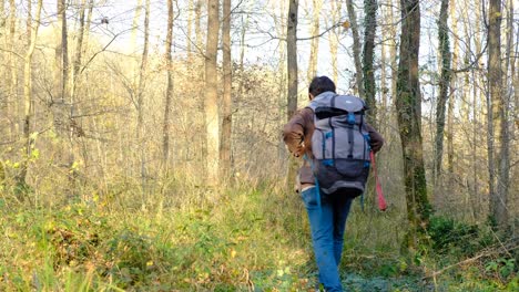 backpack man walking in forest