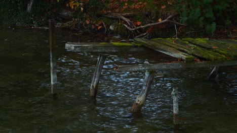 Old-broken-boardwalk-in-the-water