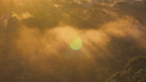 sun rays illuminate early morning mist in rainforest; aerial pan