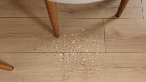 crumbs and debris on a wooden floor