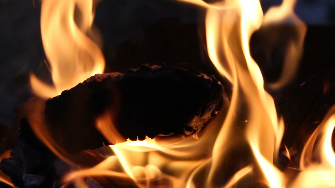 Close Up View Of Fire Flame. Warm bonfire with lots of trees ready for barbecue