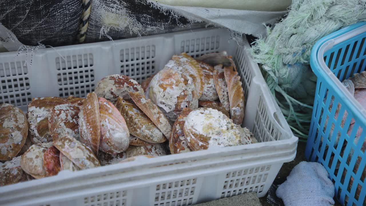 "Awabi" Abalone Shells in Catch Basket in Marina, Toba, Mie Prefecture Japan