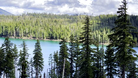 山上的湖泊和树木的全景