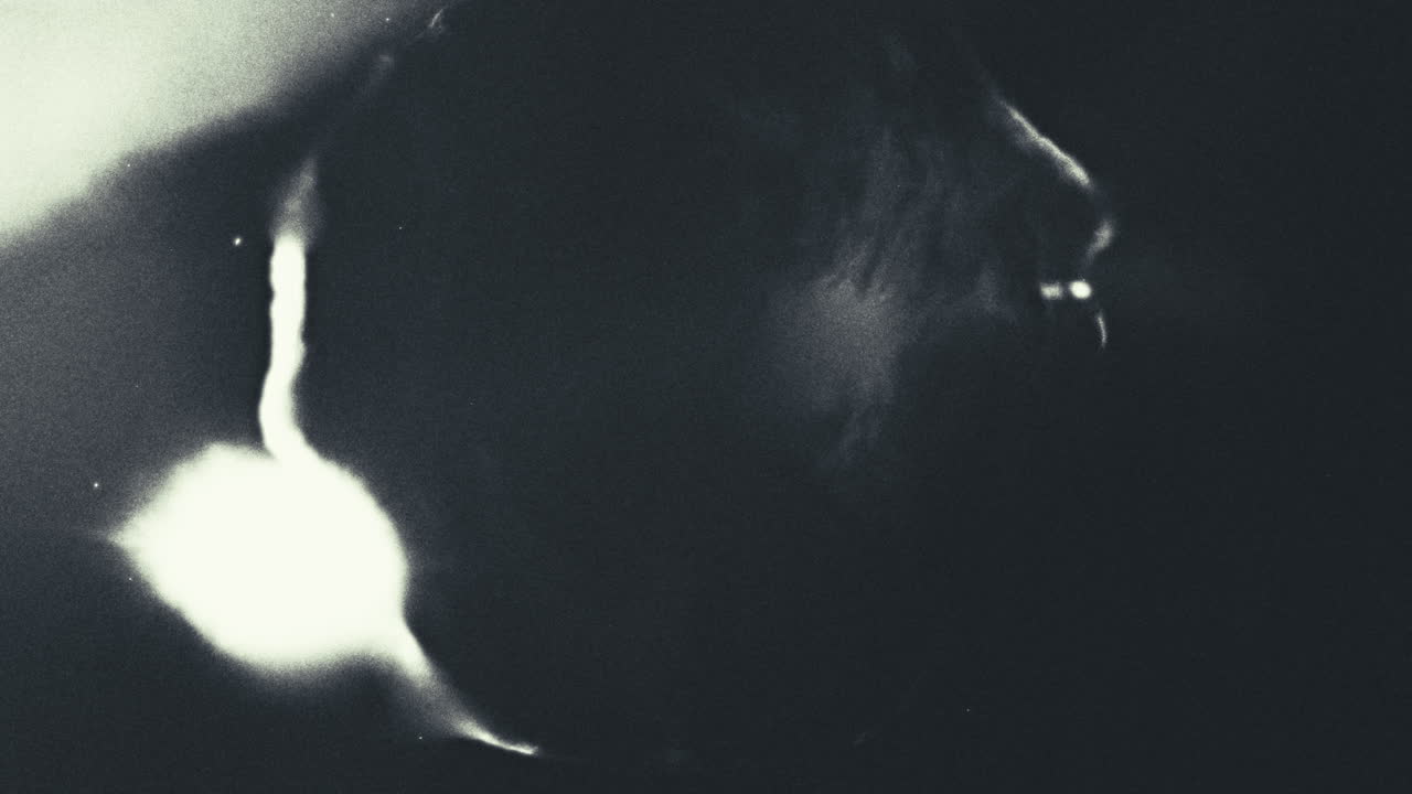 Old footage of weird science experiment - alien lifeform