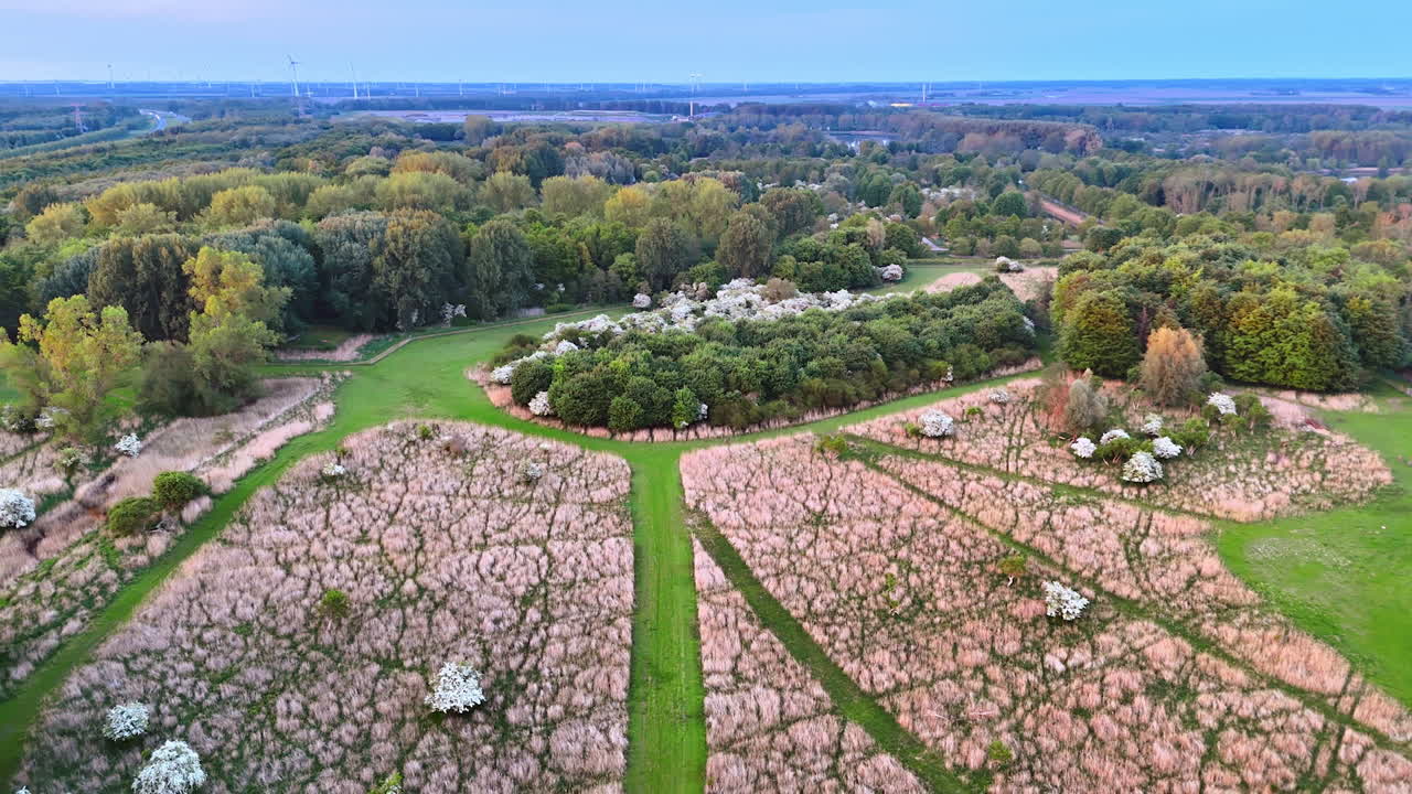 Blooming park with trails. Aerial view of a nature park featuring blooming trees, winding paths, and diverse greenery during early evening