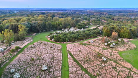 blooming park with trails. aerial view of a nature park featuring blooming trees, winding paths, and diverse greenery during early evening