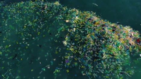 aerial birdseye static shot of plastic bags floating in sea waters