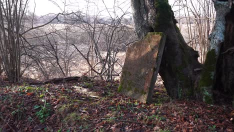 old granite tombstone near tree and hole in ground approach, rural nature area