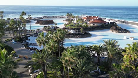 pools and palmtrees next to the ocean