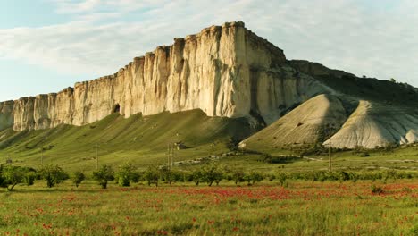 majestic white cliffs and poppy field