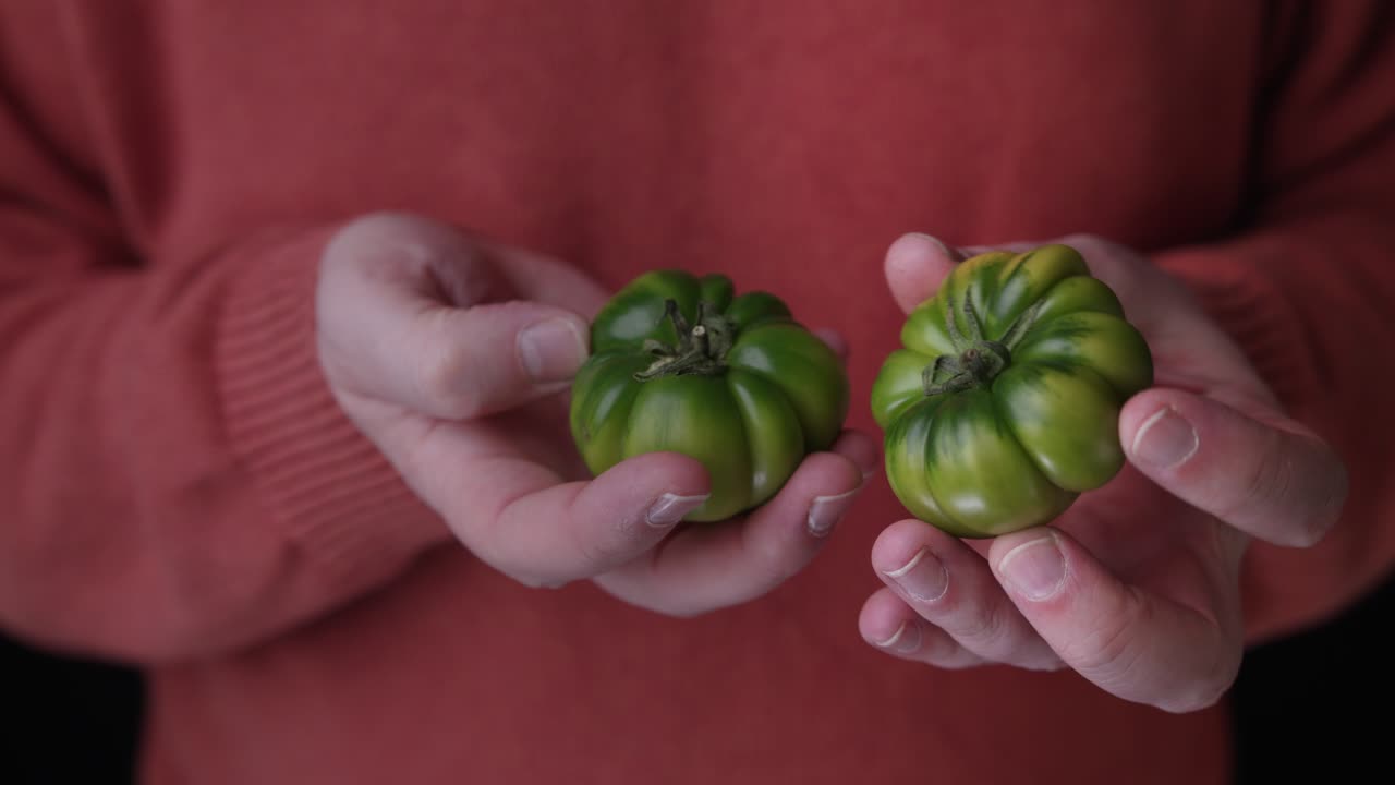 신선한 유기농 토마토를 손에 들고 빨간 풀오버를 입은 남자의 클로즈업 샷