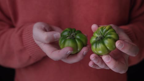 Nahaufnahme-Eines-Mannes-Im-Roten-Pullover-Mit-Frischen-Bio-Tomaten-In-Der-Hand