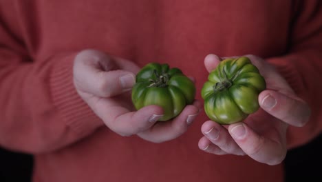 primer plano de un hombre con un jersey rojo con tomates orgánicos frescos en la mano