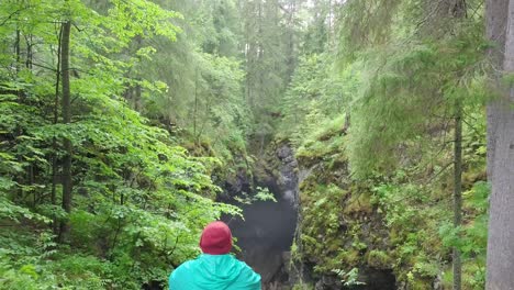 person looking at a forest canyon