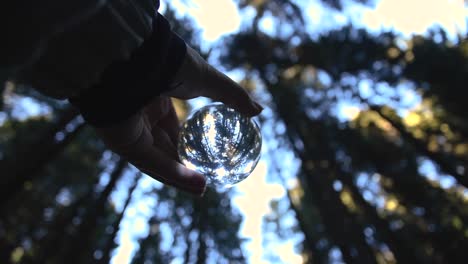 close up bottom view of a young female hand holding a crystal ball reflecting landscape in an autumnal forest