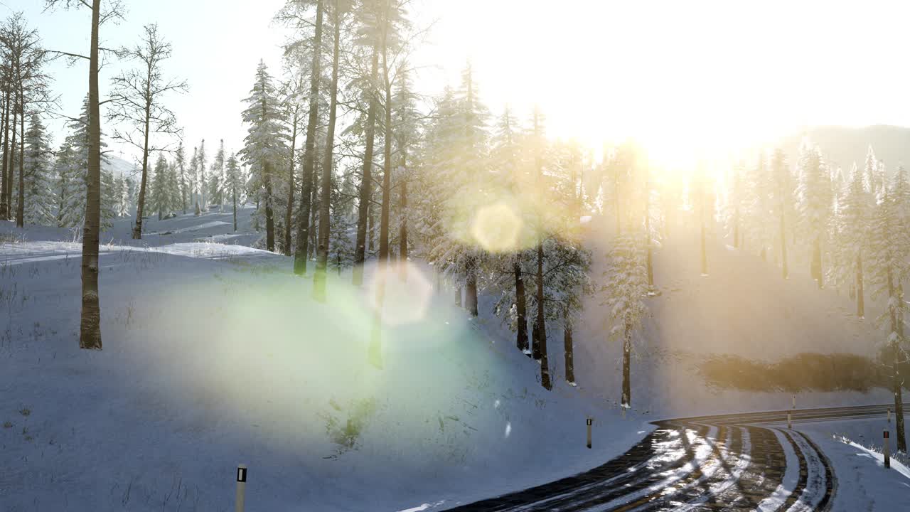 겨울 숲 위의 비행