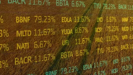 Animación-Del-Procesamiento-De-Datos-Financieros-Sobre-El-Campo-Agrícola