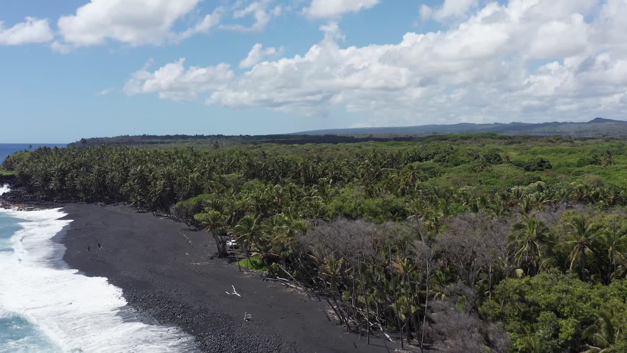 Ripresa aerea ascendente che sorvola una spiaggia di sabbia nera di recente formazione adiacente alla giungla sull'Isola Grande delle Hawaii.