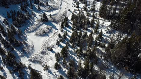 Meadow-in-forest-covered-with-snow-mountain-reveal