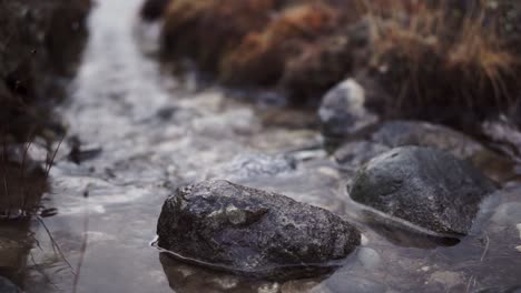 primer plano de las rocas en el arroyo