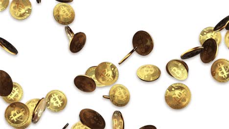 bitcoin falling coins