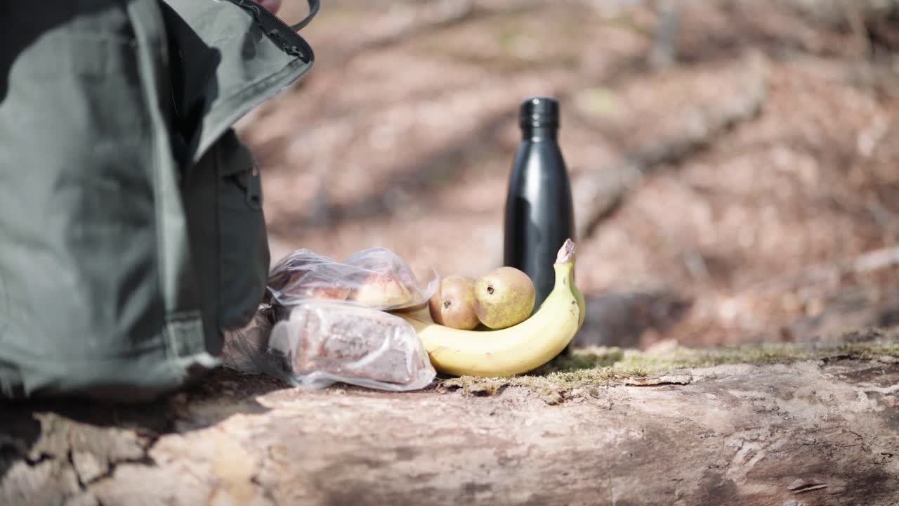 descanso para comer después de una caminata en el bosque danés
