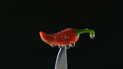 spicy red jalapeno chilli pepper dripping wet on sharp knife with water spray against black background