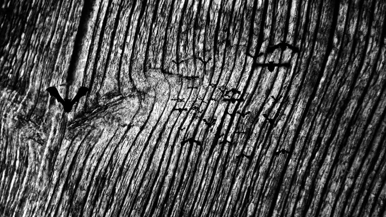 Carved tally marks and initials on weathered wooden surface in black and white
